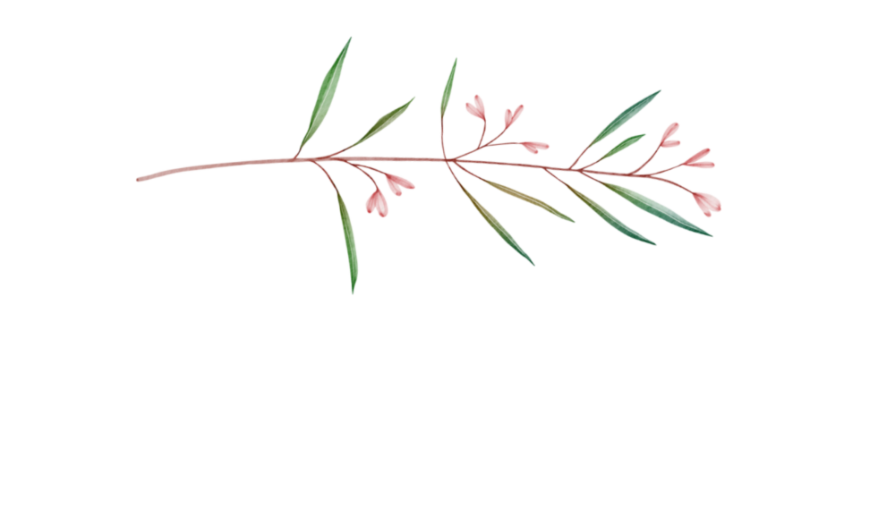 lachaizephoto.com